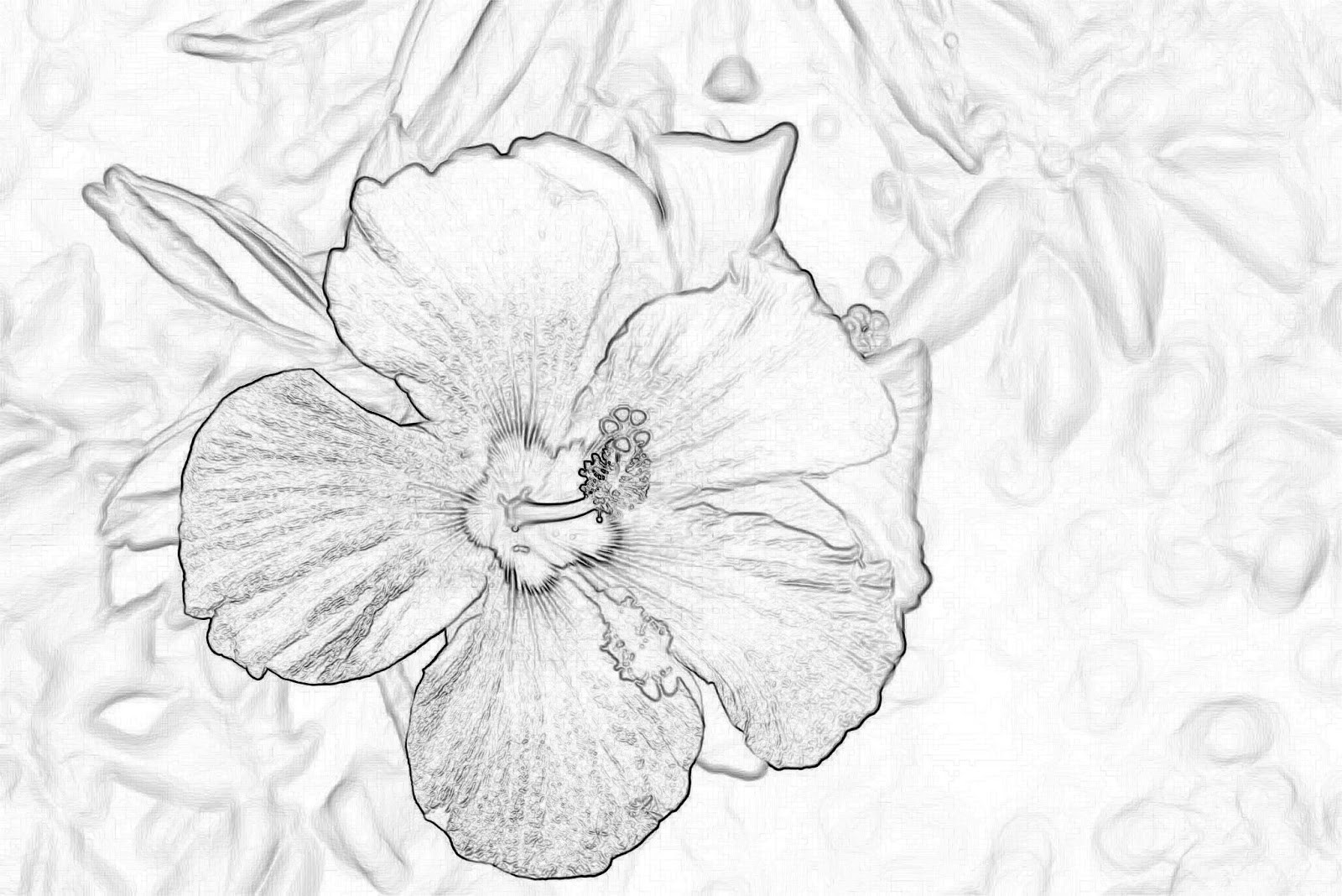 Comparison of line art output from Photoshop using the Find Edges filter.