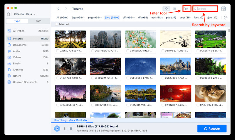 Filtering the search results to find specific image formats