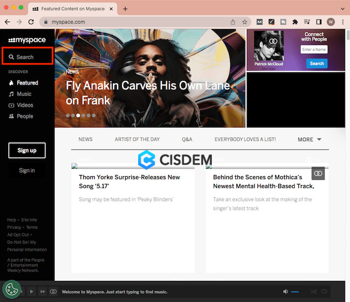 MySpace Search bar example