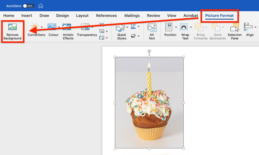 Removing picture background in Word 2019 using Picture Format Tab with Remove Background option highlighted
