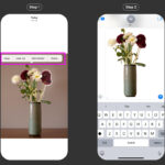 iPhone Photos app showing the steps to remove the background from an image by long-pressing the subject and selecting copy