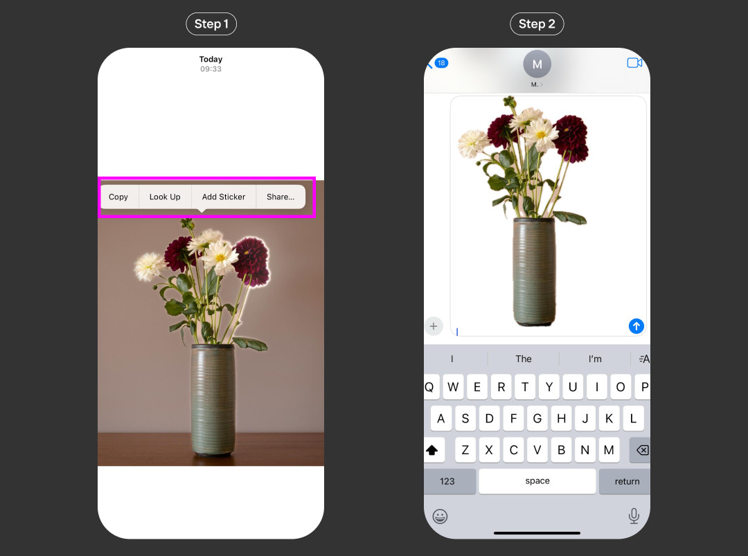 iPhone Photos app showing the steps to remove the background from an image by long-pressing the subject and selecting copy