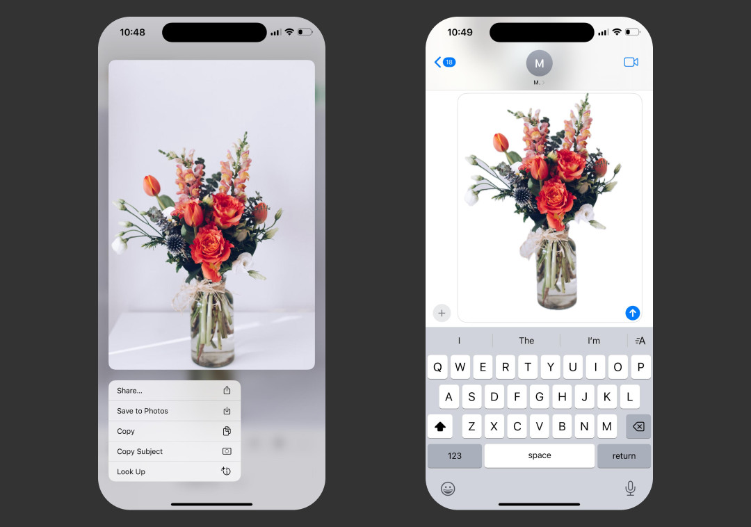 Using Safari on an iPhone to copy the subject of an image and remove the background