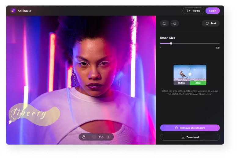 Screenshot showing the glare being brushed over in AniEraser