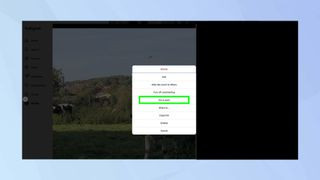 Opening an Instagram Photo in a Browser