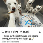 steps to post multiple portrait on Instagram