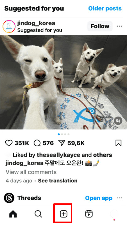steps to post multiple portrait on Instagram