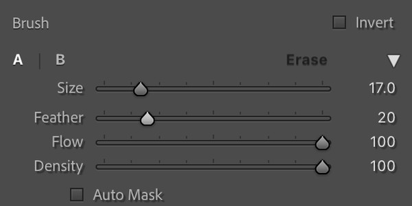 Lightroom brush tool settings for car photo editing, showing flow, density, and feather adjustments