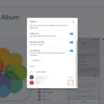 Shared Google Photos Options