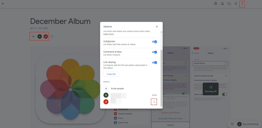 Shared Google Photos Options