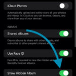 iOS Photos Settings Show Hidden Album enabled displaying the option to show hidden album