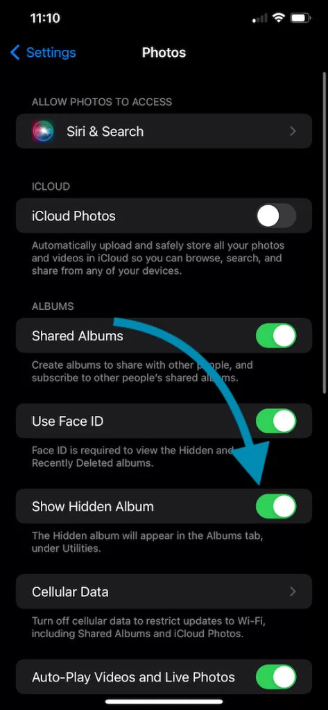 iOS Photos Settings Show Hidden Album enabled displaying the option to show hidden album