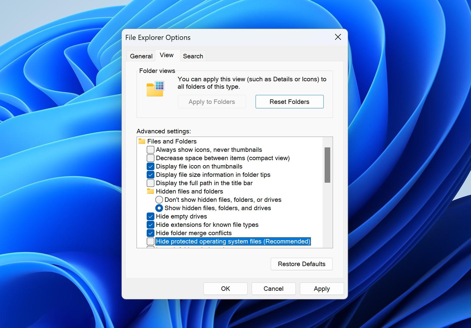 Show hidden files in Windows