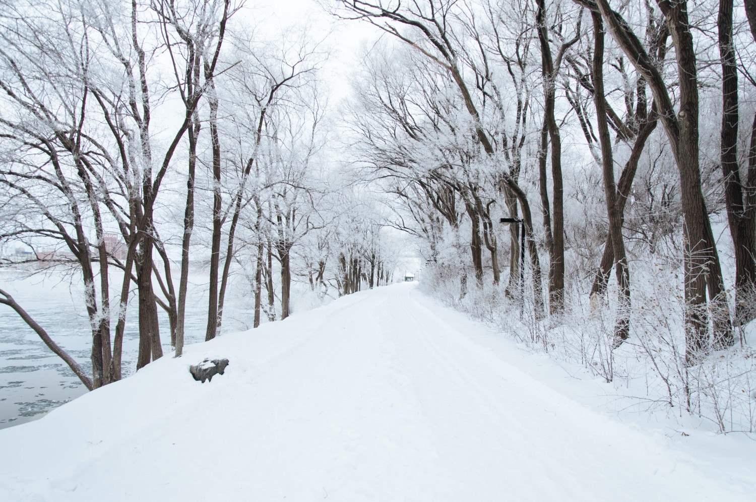 Example of camera settings suitable for snow photography, including ISO, aperture, and shutter speed