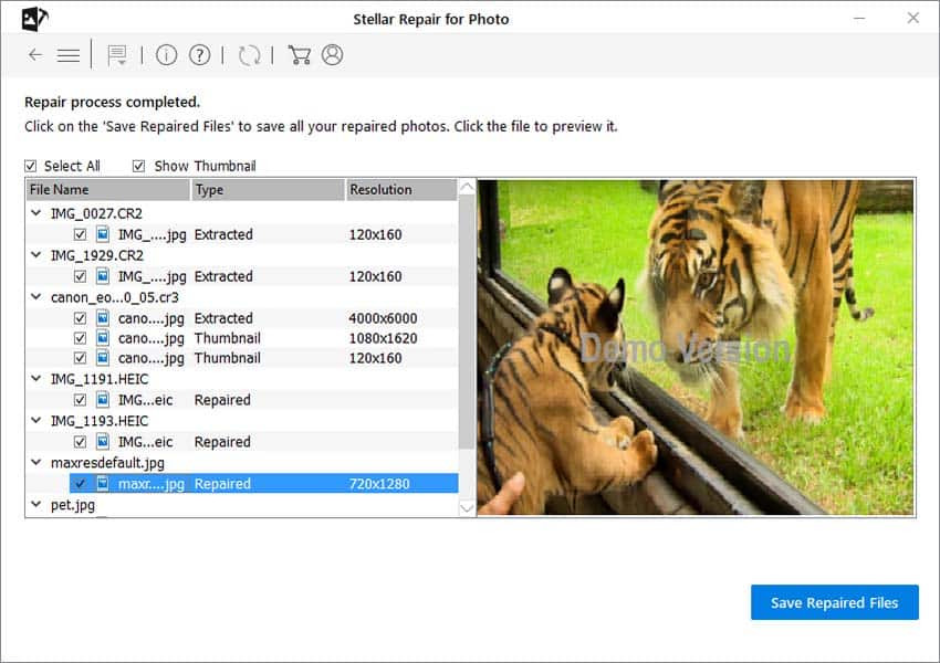 Stellar Repair for Photo- Saving repaired files after preview