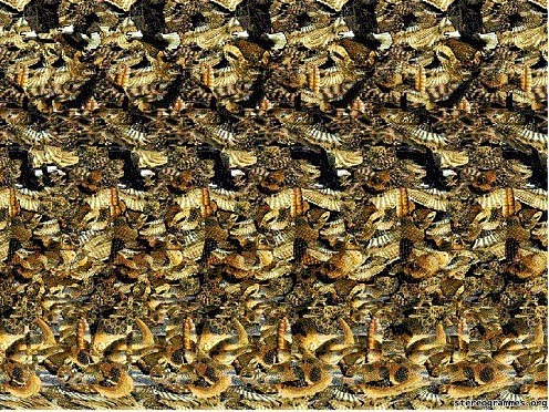 Look closely to find both an eagle and a cobra hidden in this autostereogram.