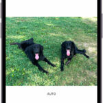 Crop a Photo on My iPhone