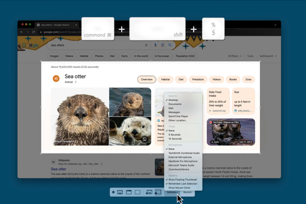 Screenshot tool options on a Mac, accessed with Command Shift 5.