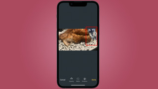 Resizing and repositioning the image overlay in the image editor. The image displays the user interface where the overlay can be adjusted and finalized.