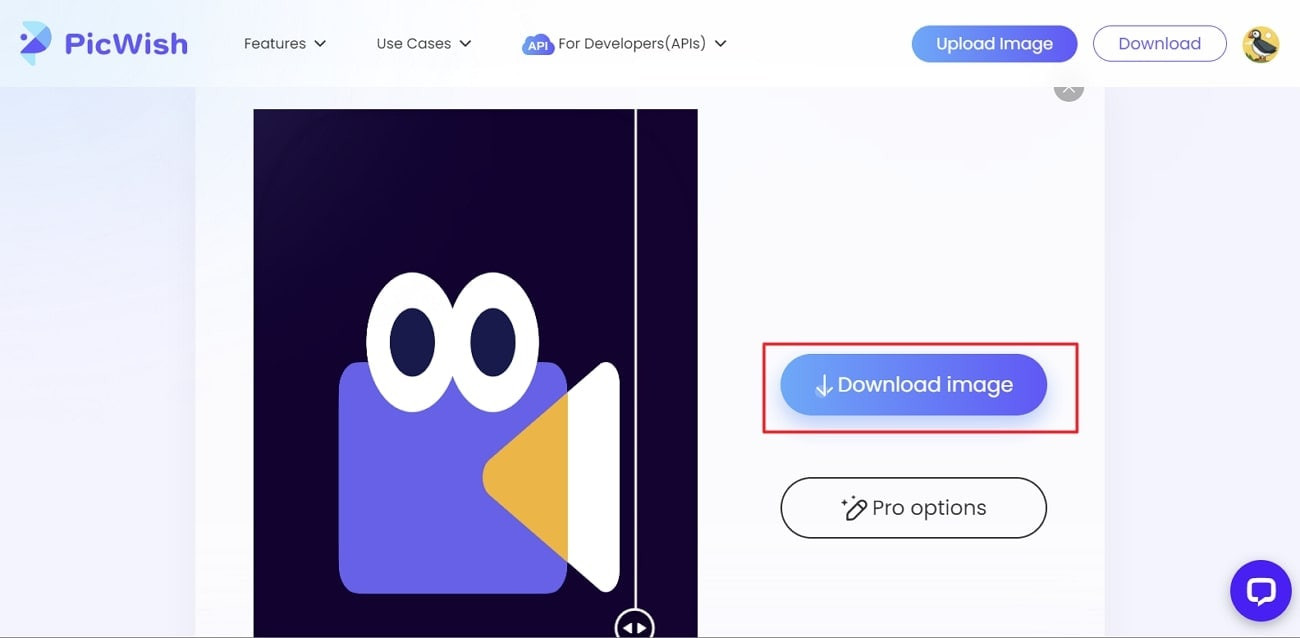 Hit the download image button to download the unblurred image on PicWish online tool