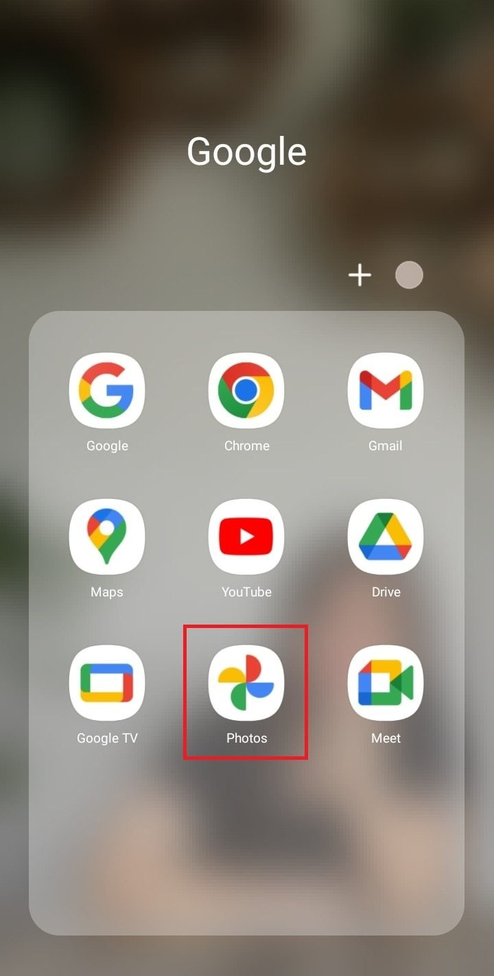 Google Photos interface