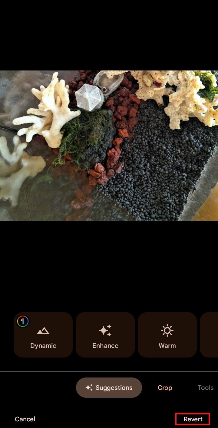 Revert photo on Android