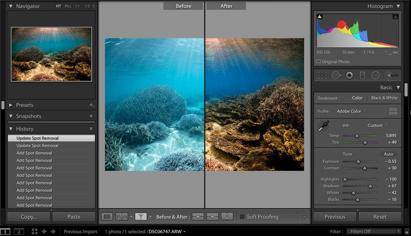 Underwater photograph with before and after post-processing adjustments