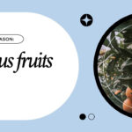 A Facebook cover photo design example that features circular shapes, stars, images, and thin outlines.
