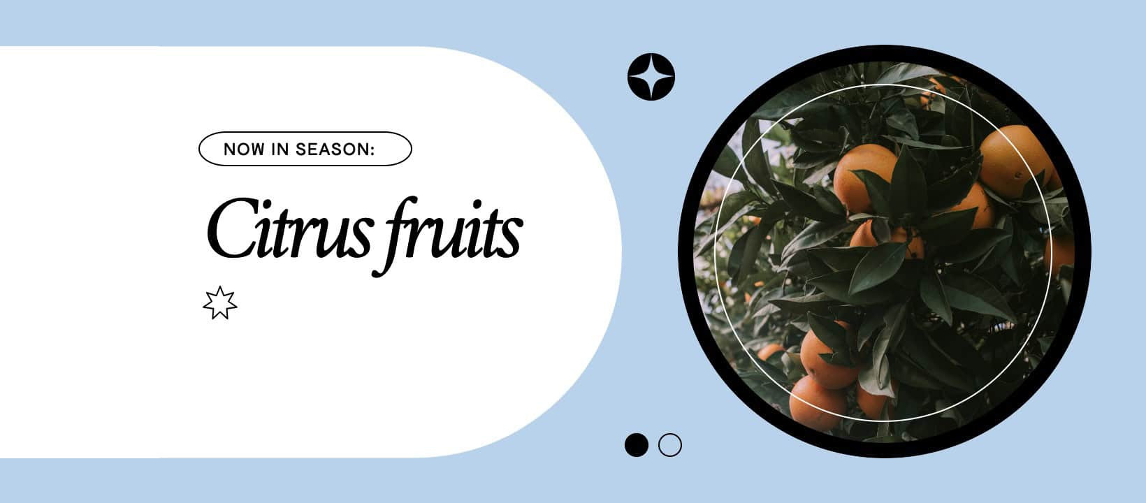 Facebook cover photo featuring circular shapes, stars, images, and thin outlines