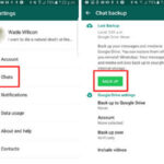 use whatsapp backup