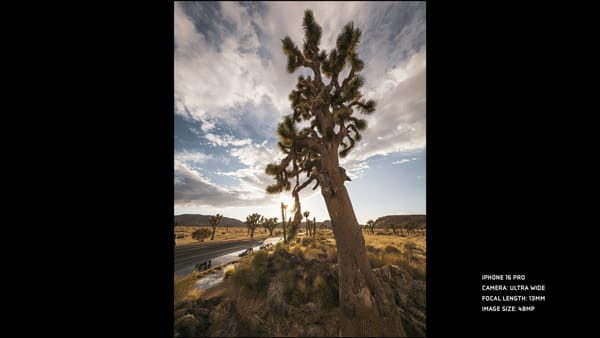 Ultra-wide shot highlighting clarity and sharpness with the new 48-megapixel ultra-wide camera of the iPhone 16 Pro.