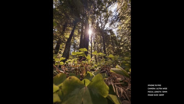 Expansive ultra-wide angle shot exhibiting the ability to capture vast landscapes with iPhone 16 Pro.