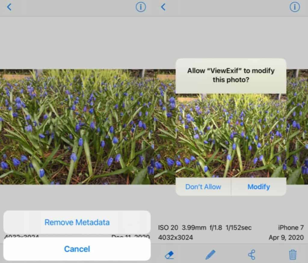 ViewExif interface.