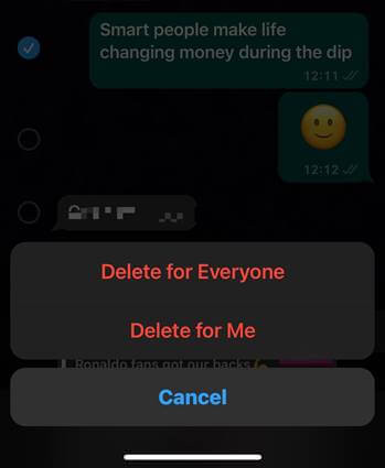 Shared the Pictures