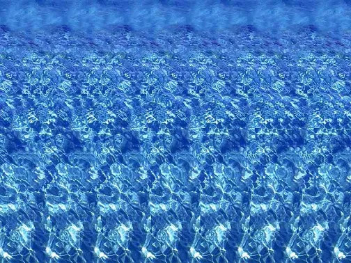 This image contains a group of dolphins.