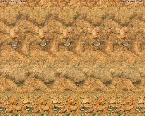 Can you spot the tiger lurking in this image?